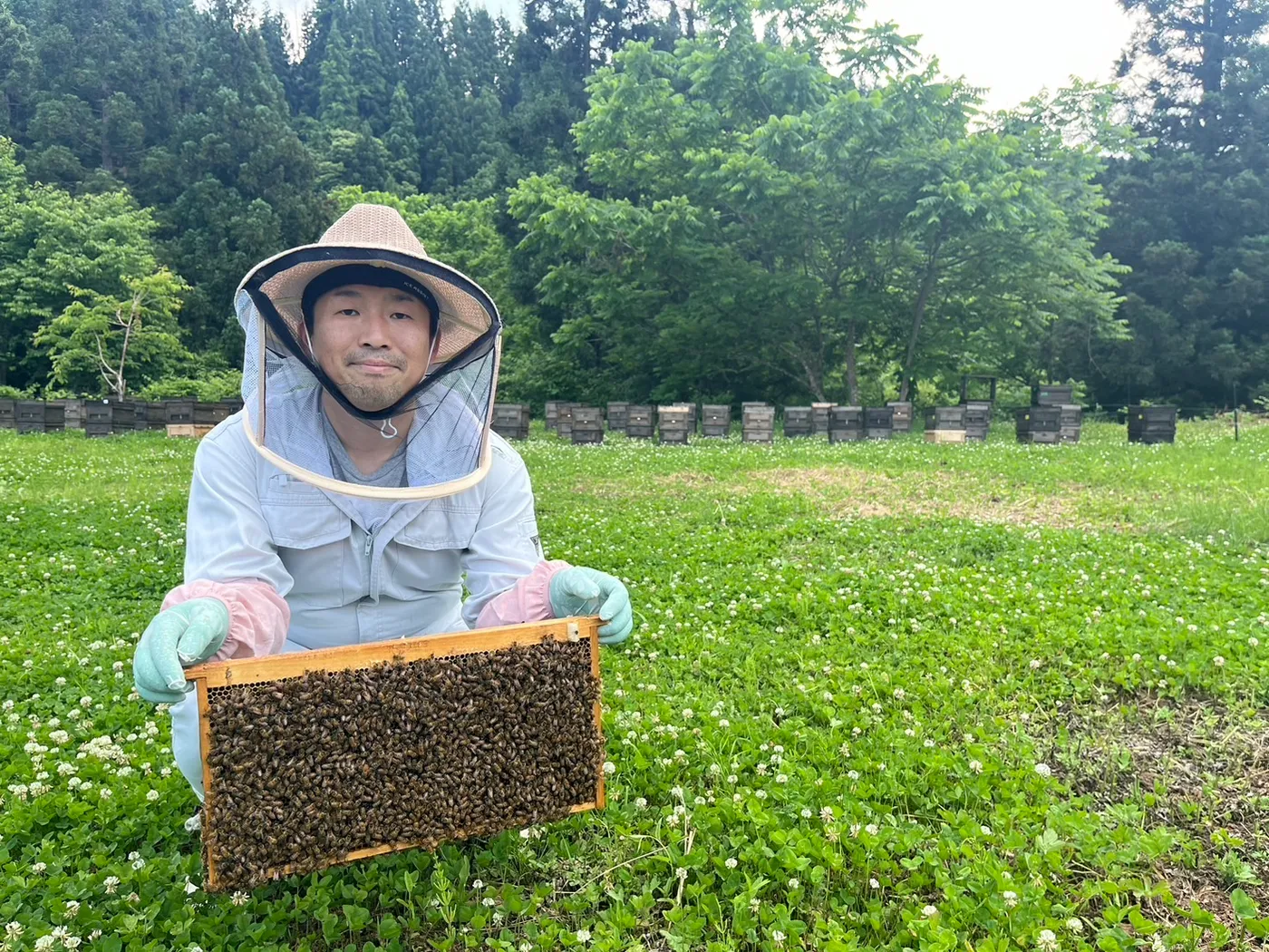 クローバー畑で蜜の詰まった巣枠を持つ園主