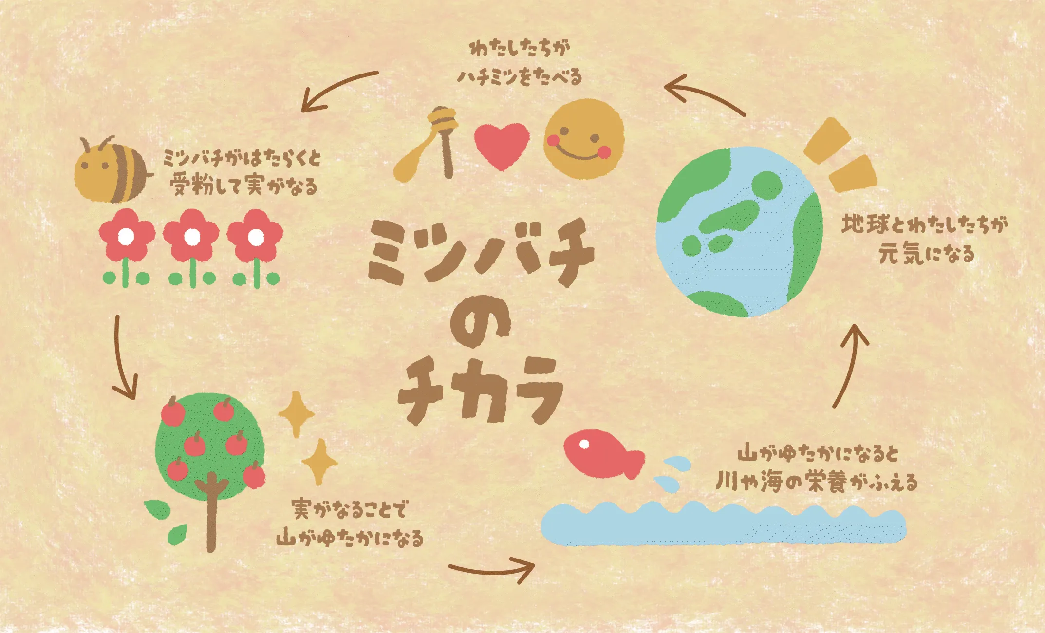 ミツバチのチカラ：ミツバチが受粉して実がなり、山がゆたかになり、川や海の栄養がふえ、地球とわたしたちが元気になり、わたしたちがはちみつを食べる、という循環の図